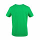 Tee-Shirt Présentation vert ASSE Le coq Sportif 2020 - 2021